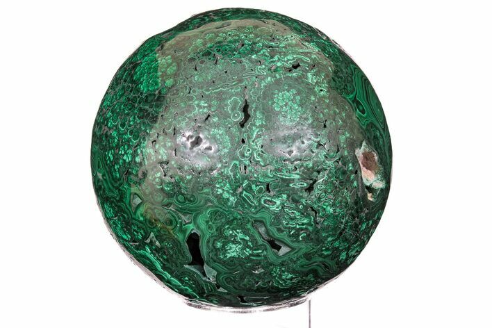 Large, Flowery, Polished Malachite Sphere ( lbs) - Congo #192008